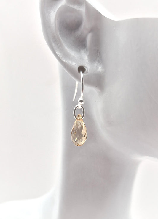 Petite Swarovski Briolette Swarovski Crystals